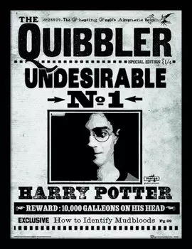 Постер в раме Harry Potter: The Quibbler