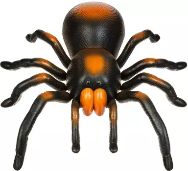 Робо-паук (OCIE: OTC0868107)