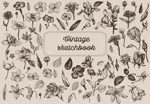 Скетчбук Винтажный гербарий