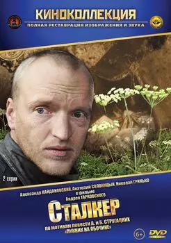 Сталкер (региональное издание)