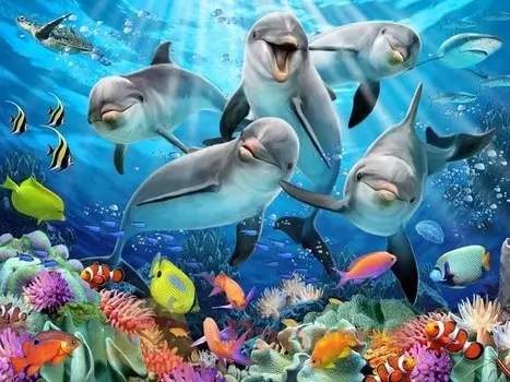 Super 3D Puzzle: Дельфиний восторг