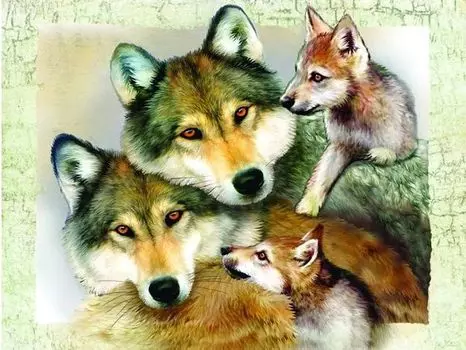 Super 3D Puzzle: Гармония (500 элементов)