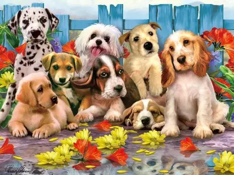 Super 3D Puzzle: Лучшие друзья