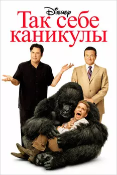 Так себе каникулы (региональное издание) (DVD)