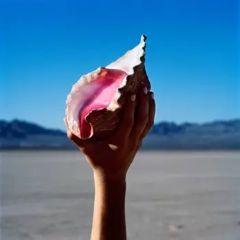 The Killers ‎– Wonderful Wonderful (LP)