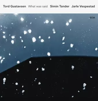 Tord Gustavsen – What Was Said (2 LP)