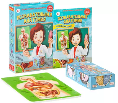 Японские опыты: Науки с Буки – Познавательная анатомия