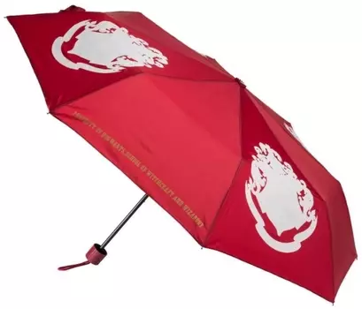 Зонт Harry Potter: Hogwarts Colour Change