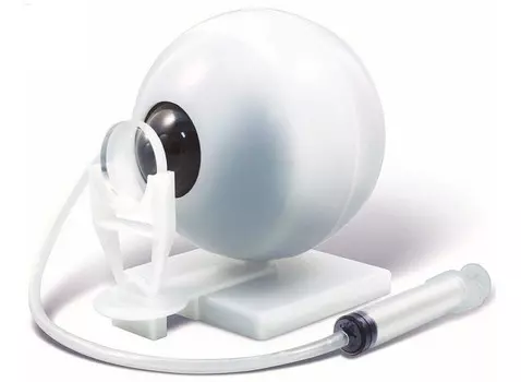 1 Toy Экспериментариум Модель глаза