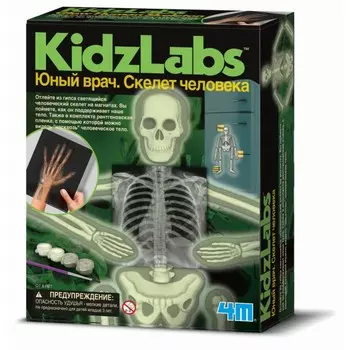 4М Юный врач. Скелет человека