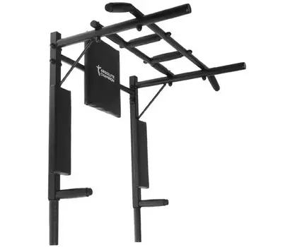 Absolute Champion Турник-Брусья Железное тело