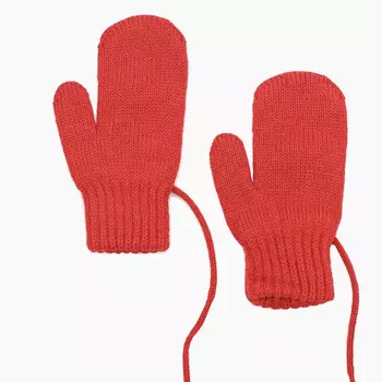 Airwool Варежки двухслойные на веревочке 546