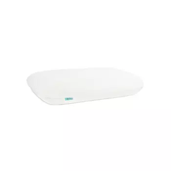 Ambesonne Анатомическая подушка Sleep Easy 60x40 см