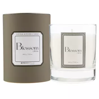 Ambientair Свеча ароматическая Sublime Цитрусовый цвет