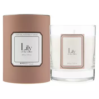 Ambientair Свеча ароматическая Sublime Ландыш