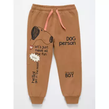 Artie Брюки для мальчиков ABr-887m