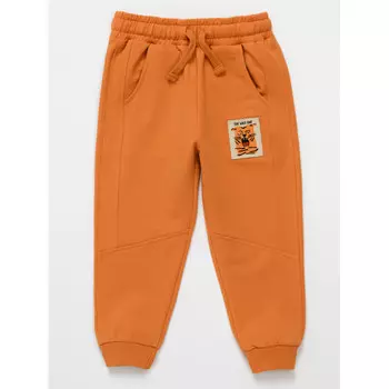 Artie Брюки для мальчиков Br-309m