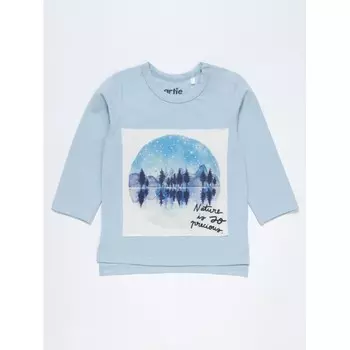 Artie Джемпер для мальчика Mystical forest AFd-514m