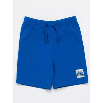 Artie Шорты Brk-064m