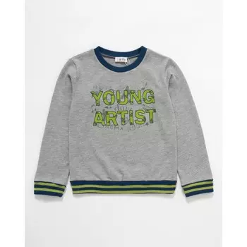 Artie Толстовка для мальчика Graphic Fonts BT-016