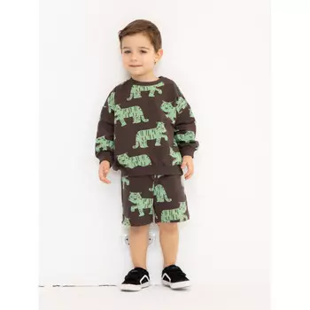 Artie Толстовка для мальчика T-067m Тигры