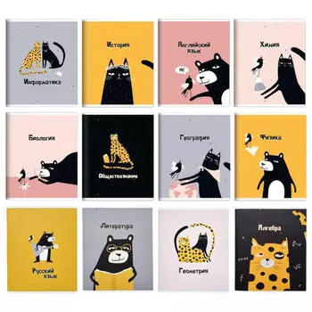 Be Smart Набор тетрадей предметных Silly А5 48 листов 12 шт.