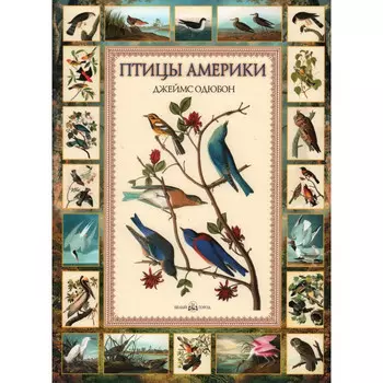 Белый город Дж. Одюбон Птицы Америки