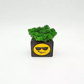 Blabar Композиция со мхом Бриовуд-эмодзи Sunglasses