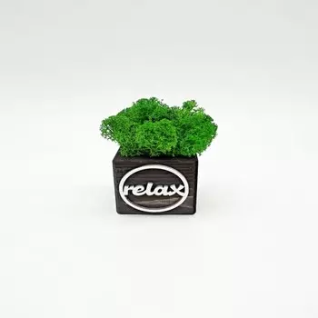 Blabar Композиция со мхом Бриовуд-месседж Relax