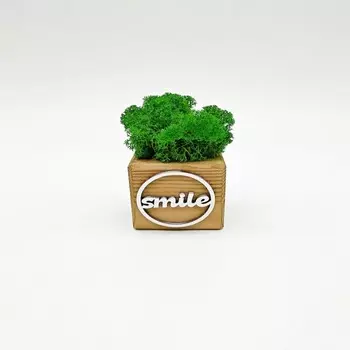 Blabar Композиция со мхом Бриовуд-месседж Smile