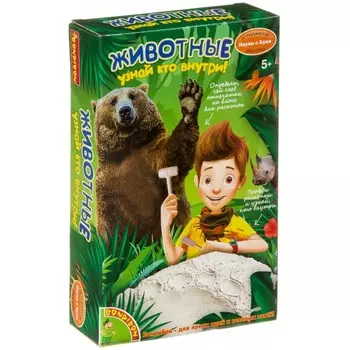 Bondibon Исторические раскопки Животный мир