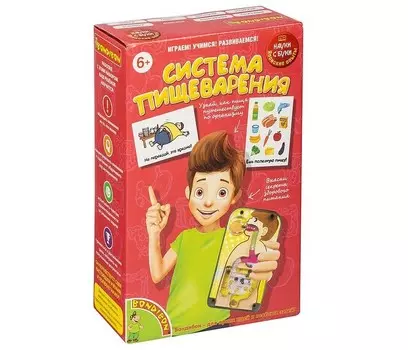 Bondibon Японские опыты Науки с Буки Система пищеварения