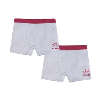 Bossa Nova Набор Трусы-боксеры Basic 2 шт. 462БН-197