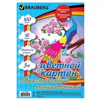 Brauberg Картон цветной А4 Тонированный в массе 10 цветов в папке 100 листов
