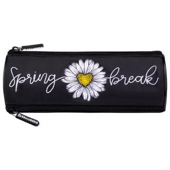 Brauberg Пенал 3 отделения Spring 21х7х7 см