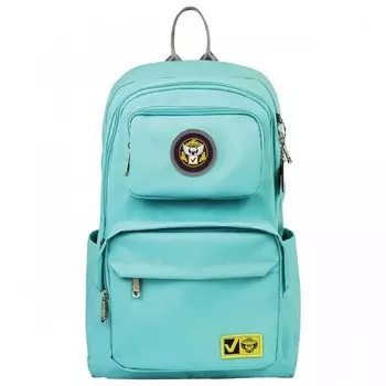 Brauberg Рюкзак молодежный Лайт 270298