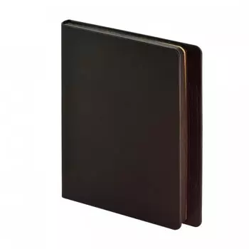 Bruno Visconti Ежедневник Megapolis Magnet А5