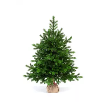 Царь Елка Ель искусственная Астерия Премиум 3D 90 см