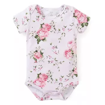 Carrot Боди Розы