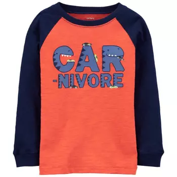 Carter's Джемпер для мальчика M042010