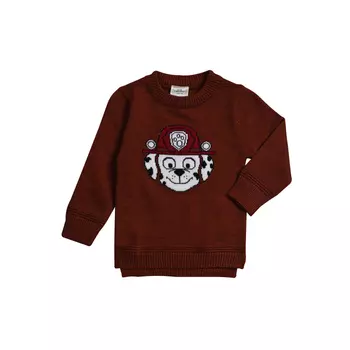 Cascatto Джемпер для мальчика DGDM1803