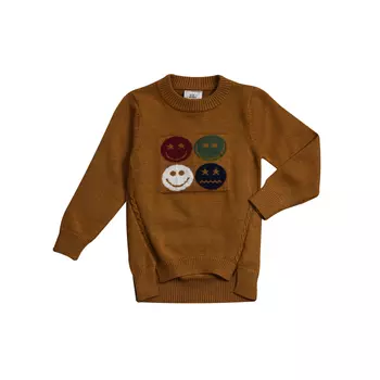 Cascatto Джемпер для мальчика DGDM1805