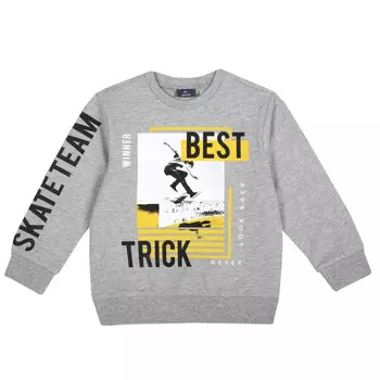 Chicco Свитшот для мальчика 09069222