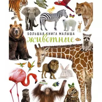 Clever Большая книга малыша Животные