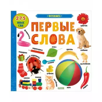 Clever Книжки-картонки. Фотокнига. Первые слова