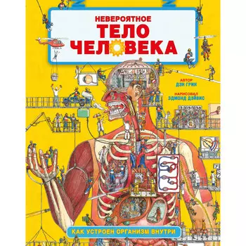 Clever Невероятное тело человека Как устроен организм внутри