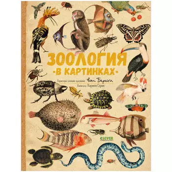 Clever Удивительные энциклопедии Зоология в картинках
