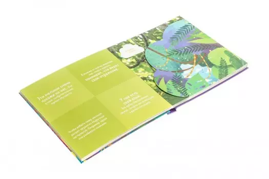 Clever Уткина О. Книга Удивительный мир. Кто прячется в джунглях?