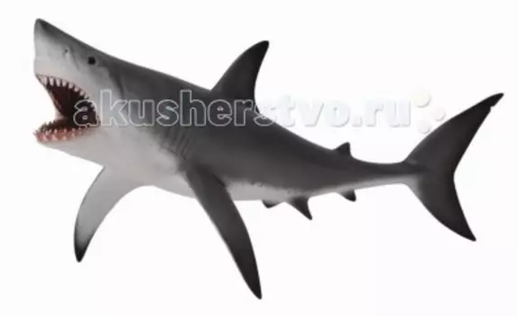 Collecta Фигурка Акула большая белая XL