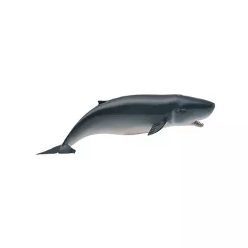 Collecta Фигурка Карликовый кашалот